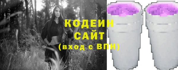 стаф Каменка
