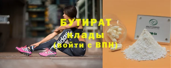 стаф Каменка