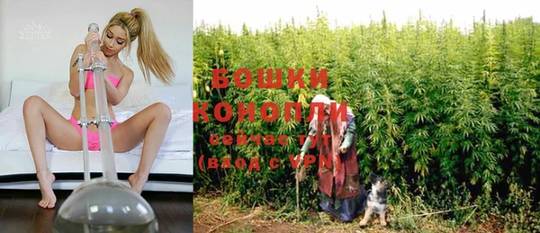 стаф Каменка