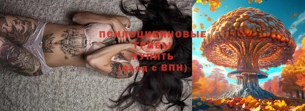 стаф Каменка