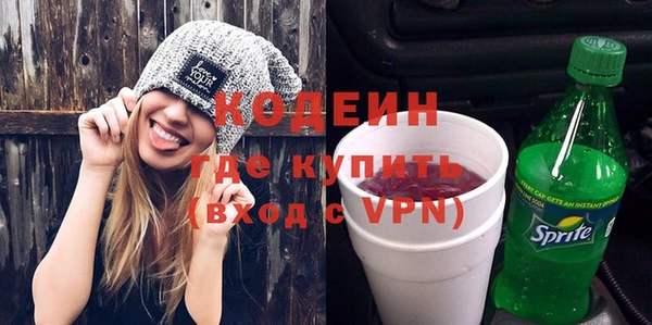 стаф Каменка
