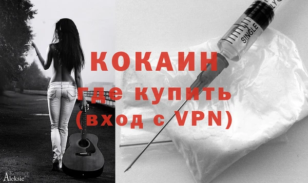 стаф Каменка