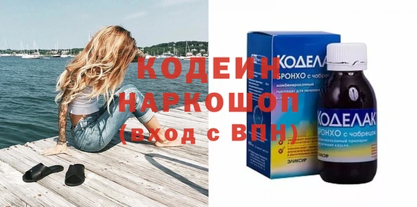 стаф Каменка