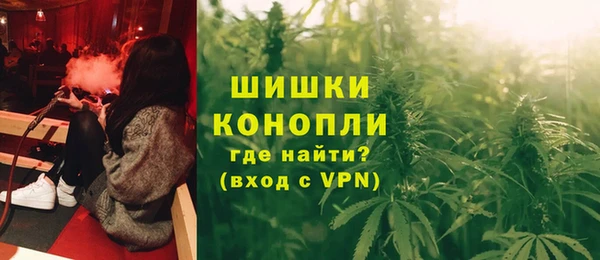 стаф Каменка