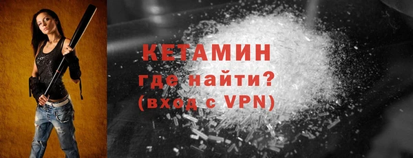 стаф Каменка