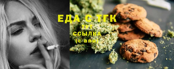 стаф Каменка