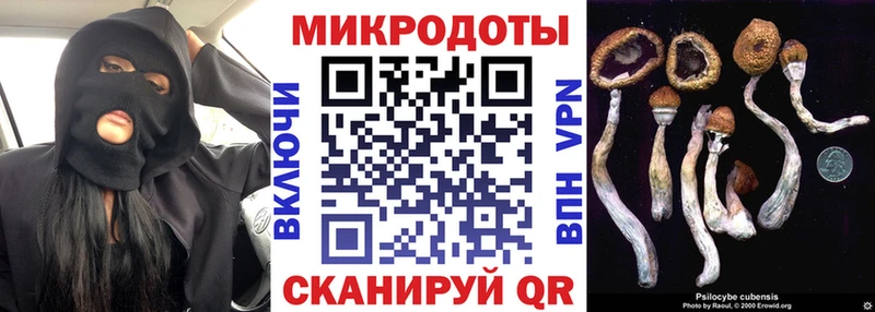 Купить где  Неман  Псилоцибиновые грибы мухоморы 